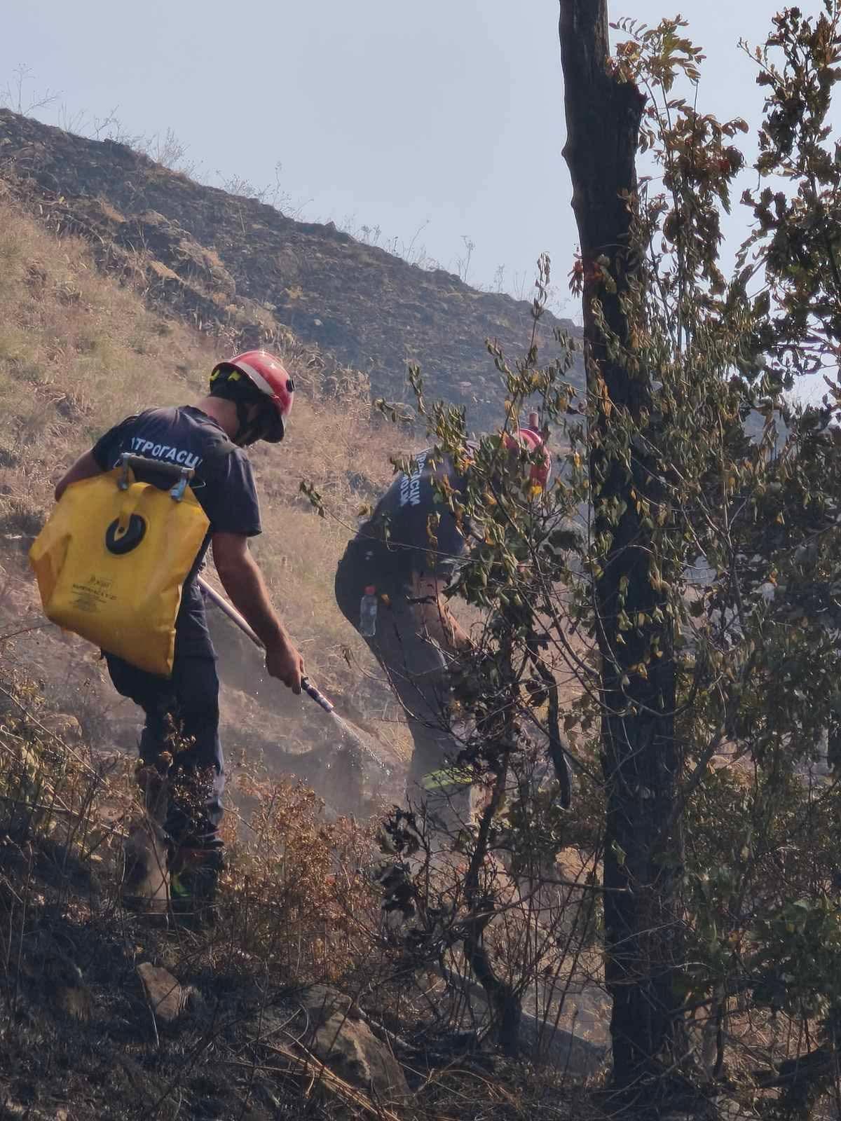Požar na Stolovima i dalje aktivan, ekipe neprekidno na terenu